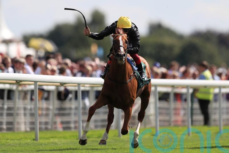 Stradivarius misses Lonsdale Cup run