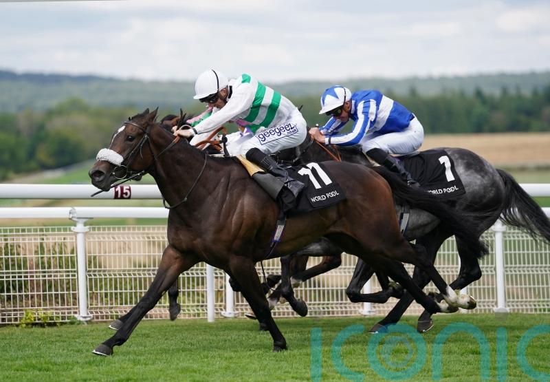Balding anticipating York battle for Lennox victor Sandrine
