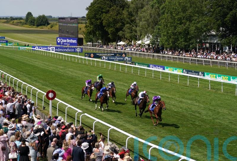 July Stakes runner-up Show Respect sold to Hong Kong