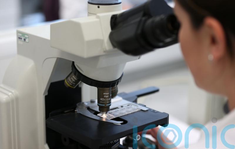 Families encouraged to provide DNA sample to Garda&iacute; on National Missing Persons Day