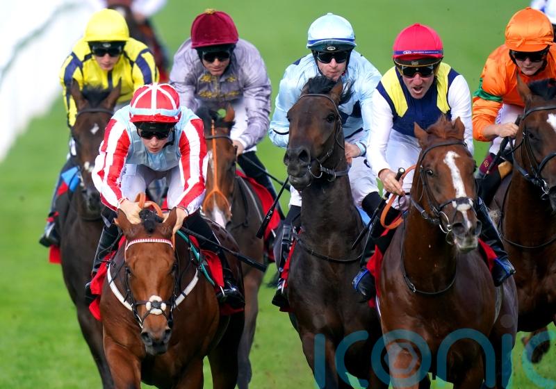 Egan: Harry Redknapp has a smart one with Knockhill