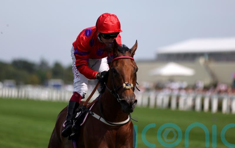 Matron &lsquo;Plan A&rsquo; for Dreamloper, but Moulin entry gives backup plan