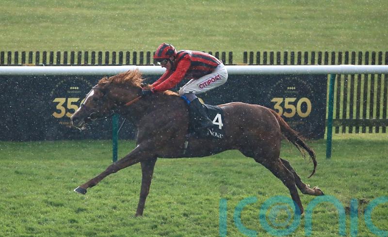 Stormy Antarctic aiming for Goodwood celebration