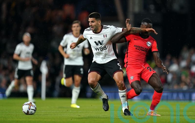 &lsquo;Quality&rsquo; Aleksandar Mitrovic is most important Fulham player &ndash; Bernd Leno