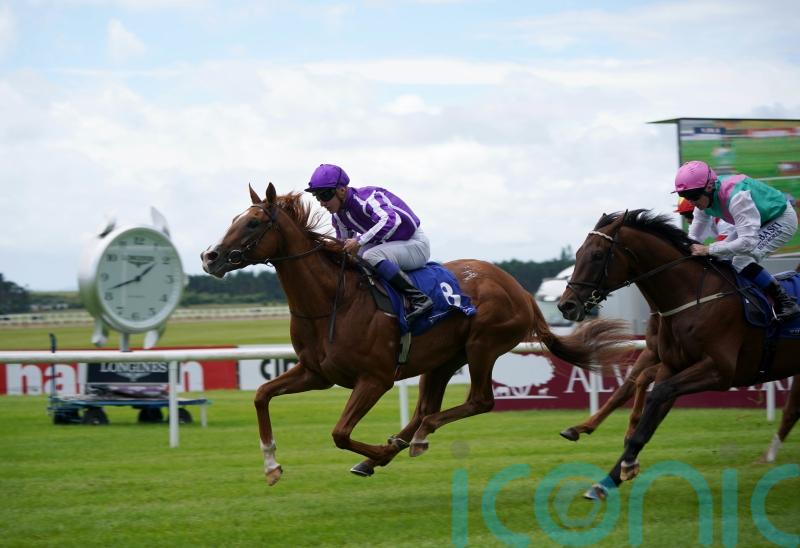 Proud And Regal in National Stakes mix