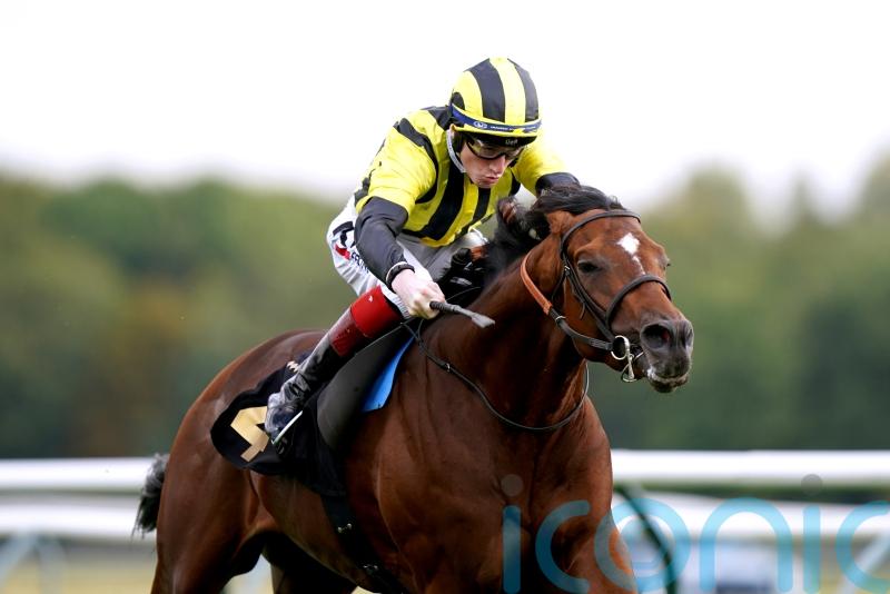 Egan: Leger trip will suit Elgar Eldarov, and rain would also be a bonus