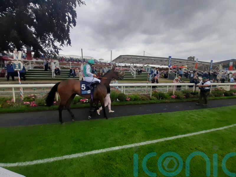 Haskoy team turn to Dettori for Leger bid