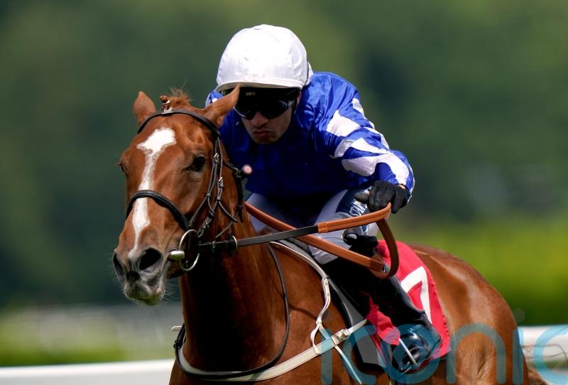 Dance In The Grass out to maintain unbeaten run in May Hill date