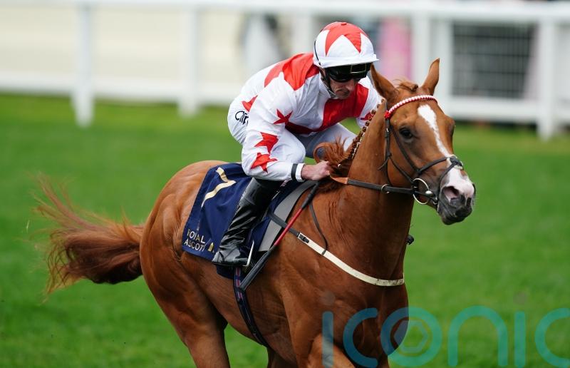 Holloway Boy on course for return, as Burke looks to Newmarket