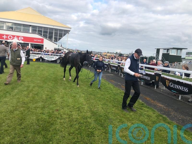 Mullins dominates at Listowel with Easy Game winning yet again