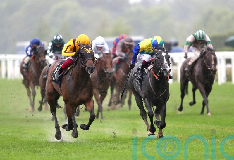 Dragon Symbol likely to take Champions Sprint test