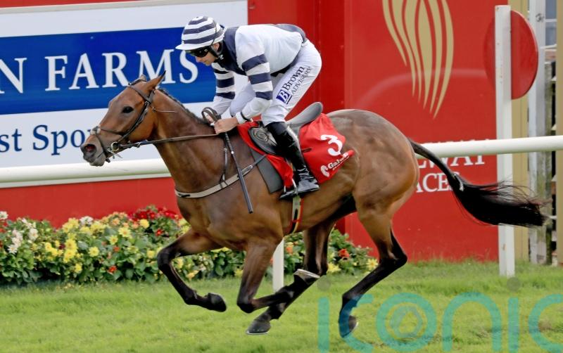 No Risk No Fun puts down Grade One marker at Listowel