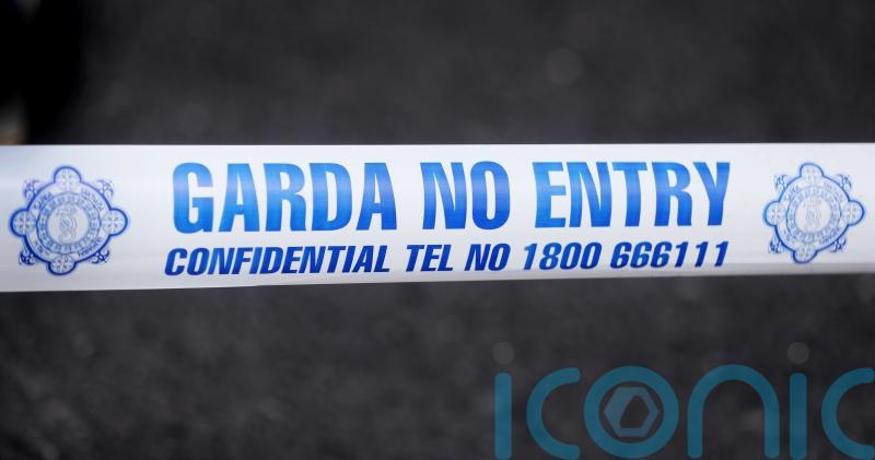 Man in 20s dies after being hit by car in Co Kildare