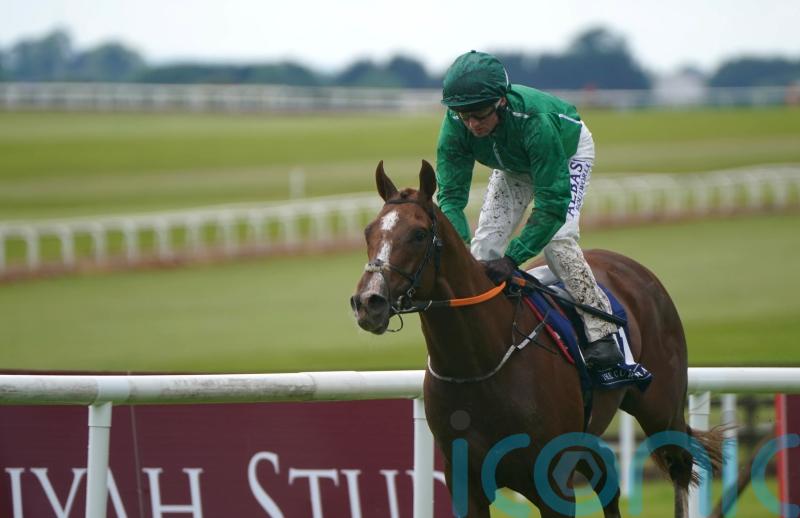 HMS Seahorse sets sail for Curragh riches