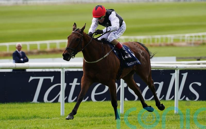 Homeless Songs takes on Saffron Beach in Sun Chariot