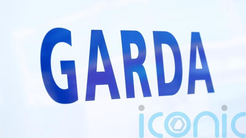 Man arrested after car crashes through gates at Sinn Fein TD&rsquo;s home