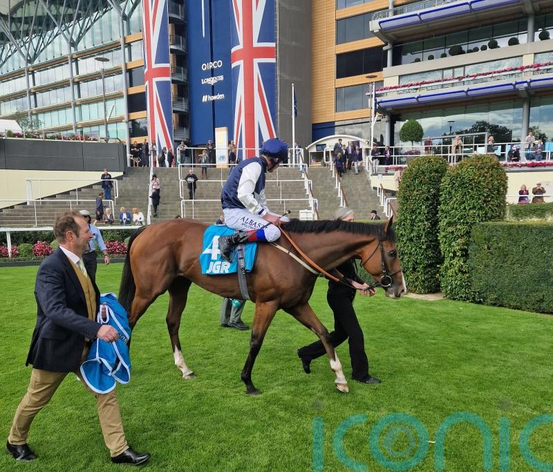 Kirby times Rohaan&rsquo;s Bengough run to perfection