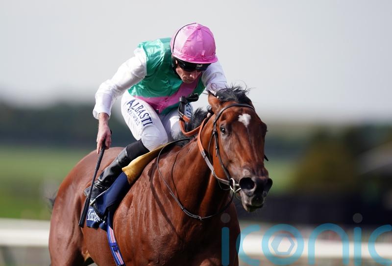 Nostrum and Chaldean give Juddmonte strong hand in Dewhurst