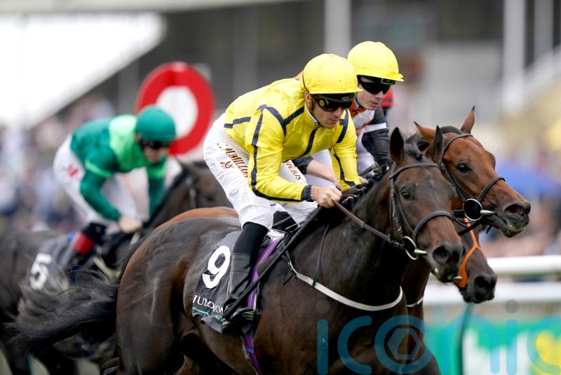 All systems go for Perfect Power on Champions Day