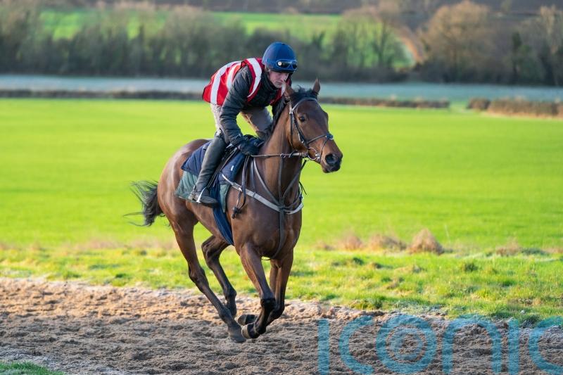 Racing charities to benefit from new ownership initiative