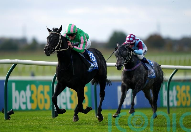 Pogo is Breeders&rsquo; Cup-bound after rising to Newmarket challenge