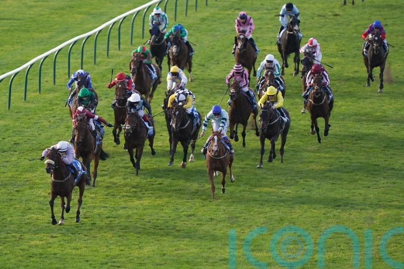 Run For Oscar routs Cesarewitch rivals