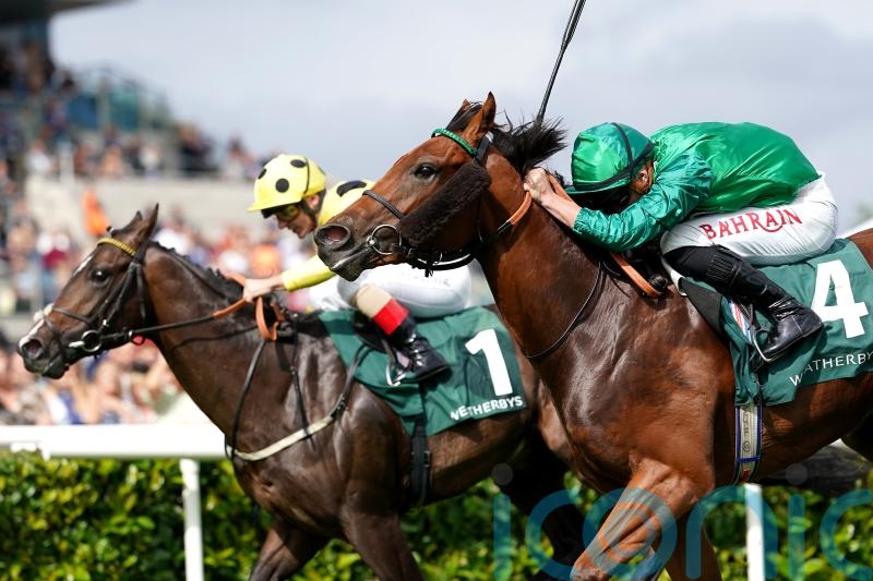 Alpha Capture pips stablemate to win Rockingham