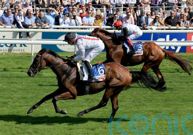 Newbury target for Cumberland Lodge winner Hamish