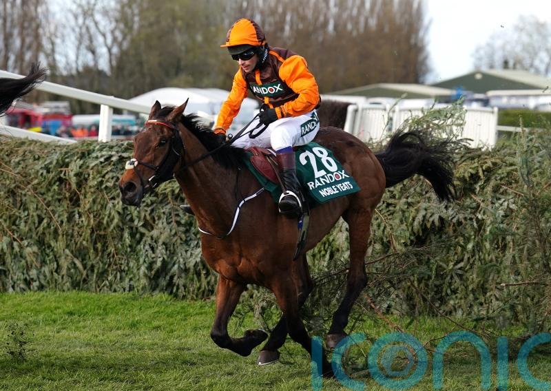 Noble Yeats none the worse following Auteuil disappointment