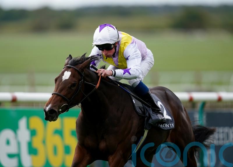 Lezoo team have high hopes for next year with classy filly