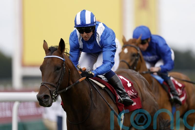 Baaeed&rsquo;s younger sibling to be out this year