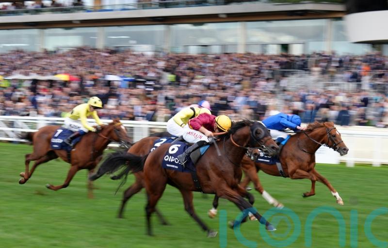 Long-term plan paid off in style for Bayside Boy team