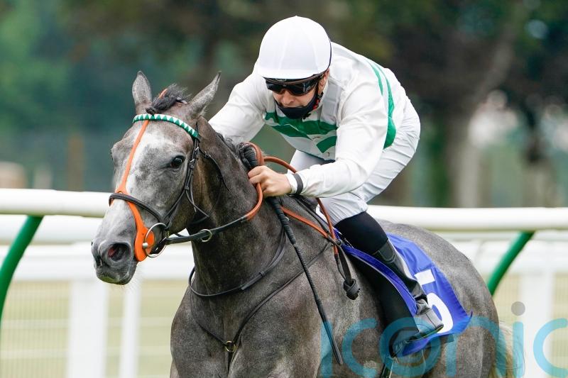 Rausing &lsquo;pondering&rsquo; pros and cons of potential Japan Cup bid for Alpinista