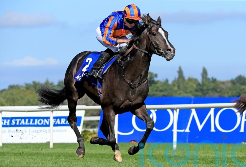 Auguste Rodin tops Futurity Trophy field for O&rsquo;Brien