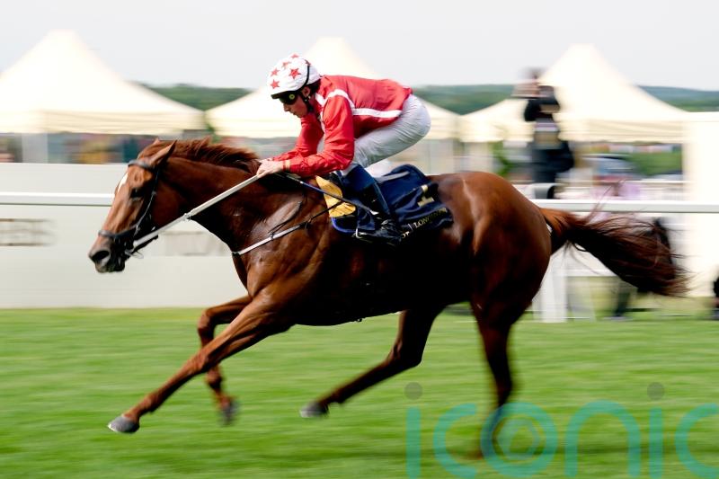 Saffron Beach booked for Breeders&rsquo; Cup challenge