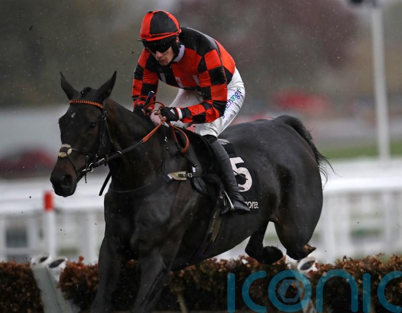 Mofasa battles back for Cheltenham win
