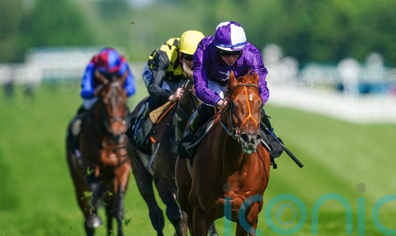 Hannon rates Persian Force as &lsquo;best chance so far&rsquo; of Breeders&rsquo; Cup glory