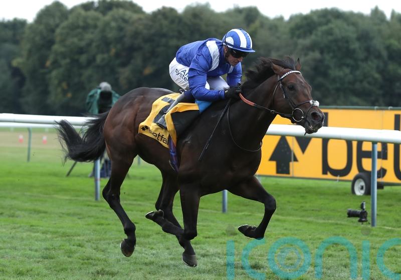 Minzaal to stand at Derrinstown Stud in 2023