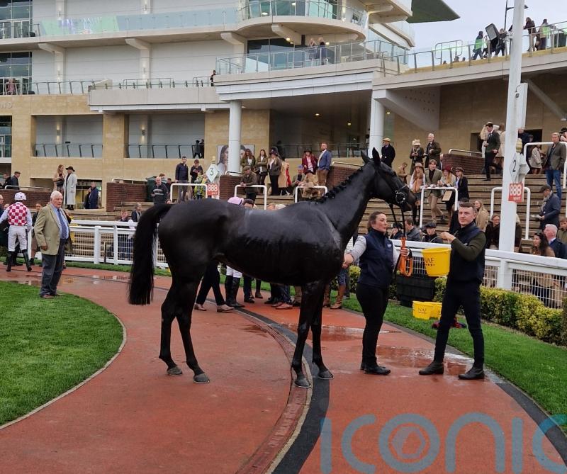 Murphy plotting swift hurdles switch for Strong Leader