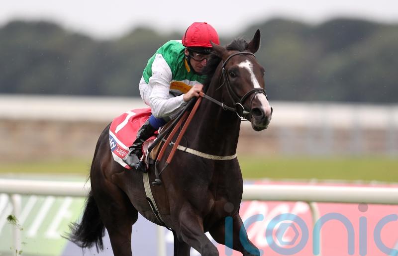 Pyledriver to bypass Japan Cup and Hong Kong options