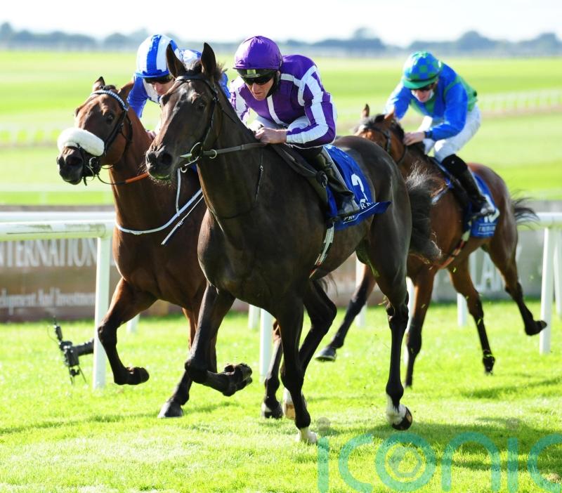 High Definition joins Joseph O&rsquo;Brien to go hurdling