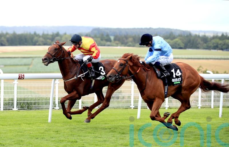 Durston to miss Melbourne Cup