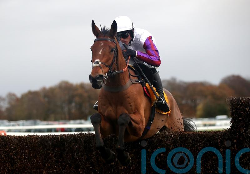 Dance looking to Bravemansgame to deliver King George dream