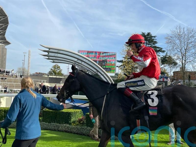 Disappointment for Goshen on eagerly-awaited fencing bow at Ascot