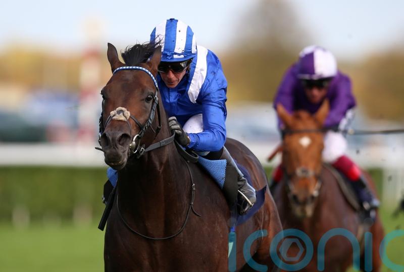 Progressive Israr &lsquo;fresh and well&rsquo; for November Handicap challenge