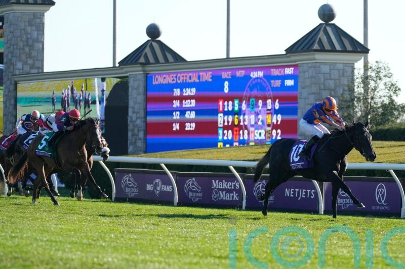 Meditate impresses with cosy Breeders&rsquo; Cup success