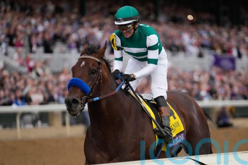 Flightline absolutely spectacular in Breeders&rsquo; Cup Classic