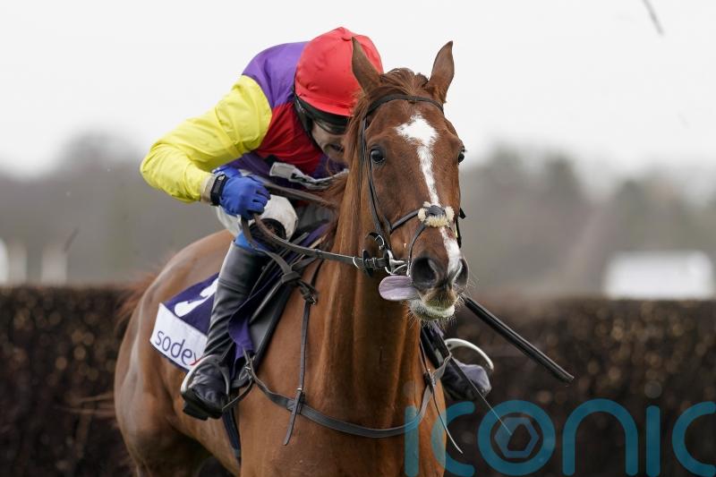 Pipe targets Coral Gold Cup with Remastered