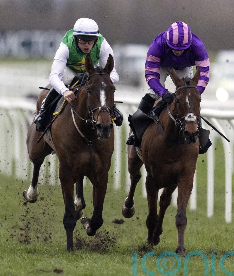 Weveallbeencaught aiming for starring role on day one of November meeting