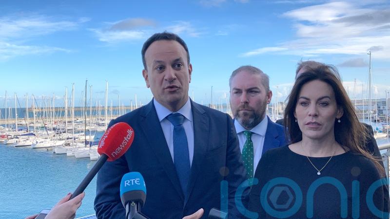 Varadkar: Windfall tax will not curb investment in renewable energies